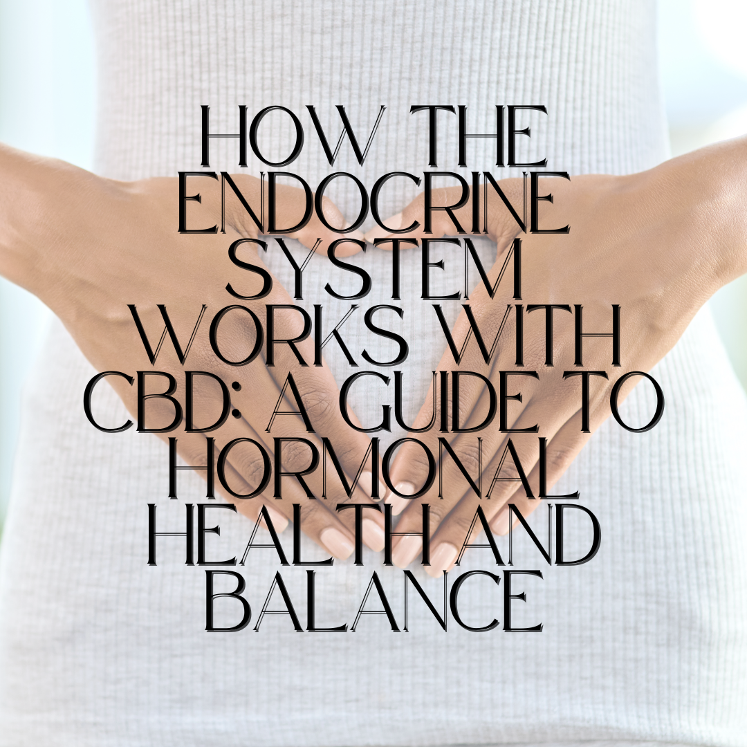How the Endocrine System Works with CBD: A Guide to Hormonal Health and Balance