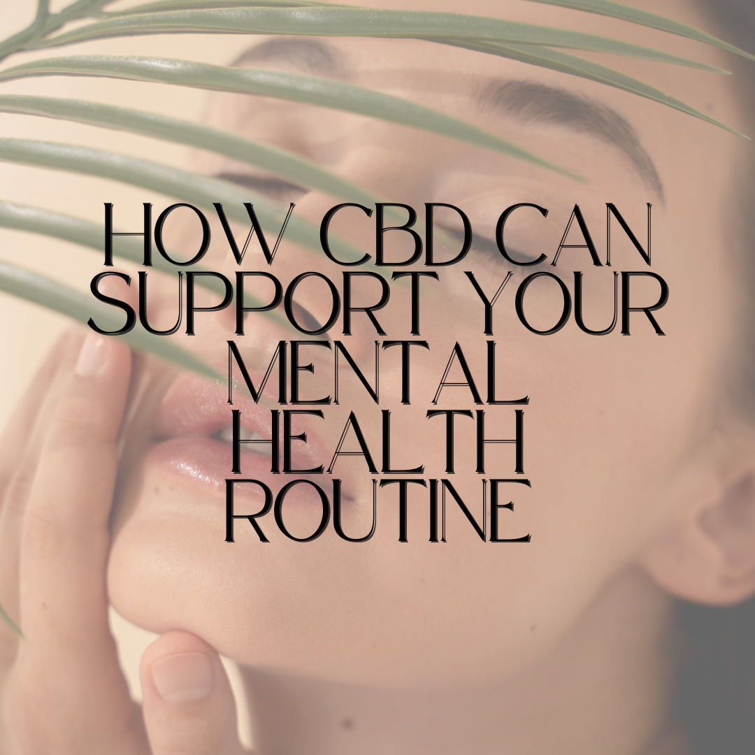 How CBD Can Support Your Mental Health Routine